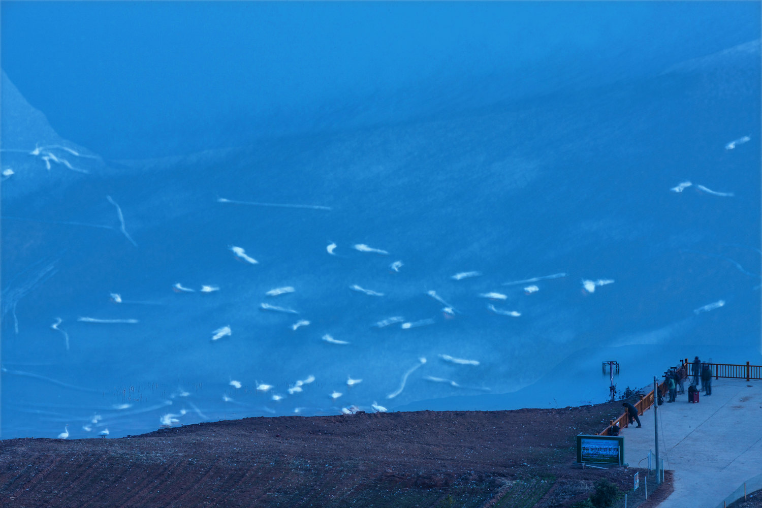 5C9J4714 ����.jpg