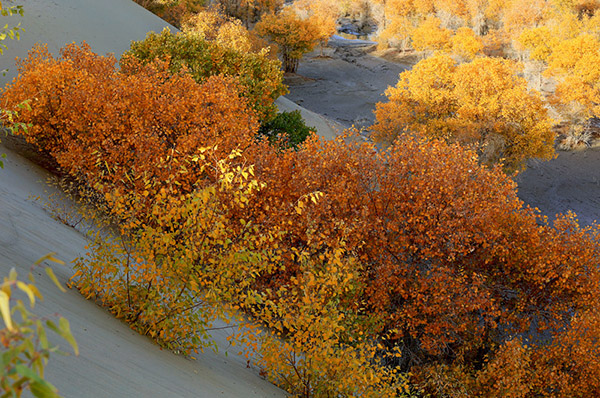 ��������_���� 1.jpg