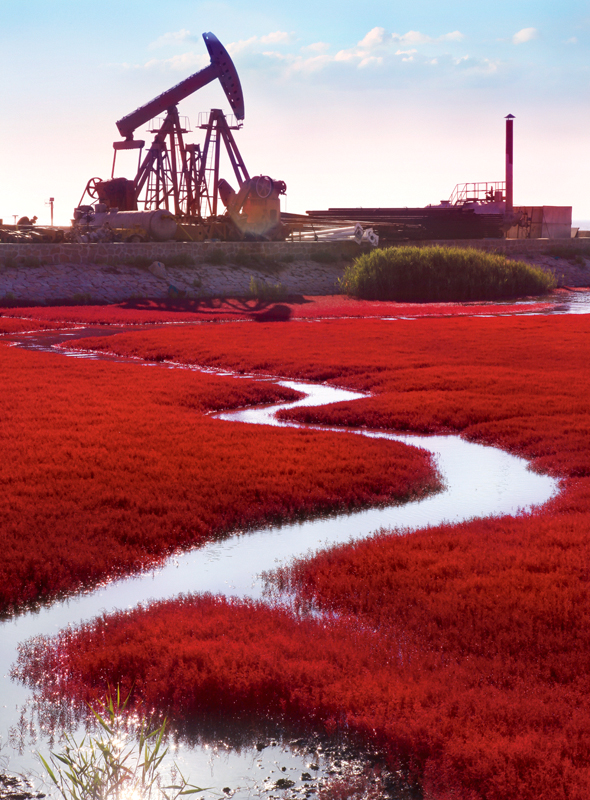 ���� IMG_7158.JPG