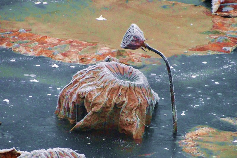 ˪��к� ������ (9).jpg