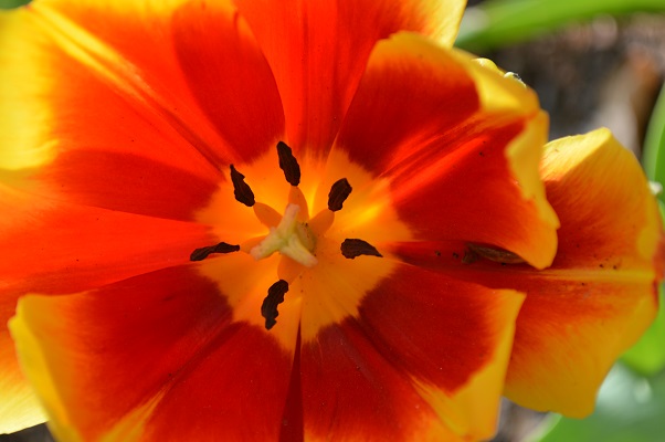 �������