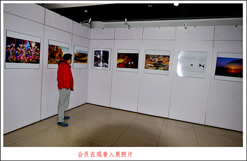 2013��11��29����Ȫ��Ӱ�ֻỨ�� 1090.jpg