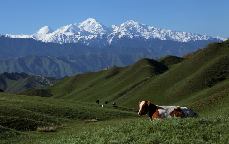 ��Դ���µ���ɽ����