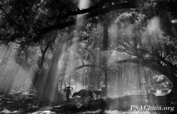 01.�¾���PSAͭ����Ʒ�����С����COUNTRY LANES.jpg