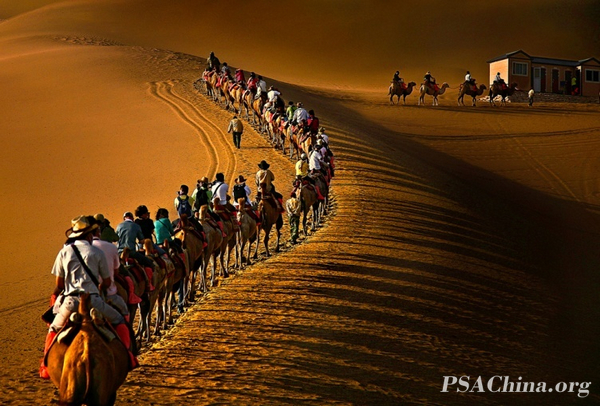 01.��ѧ��SPMͭ����Ʒ����ɳĮ���塷DESERT CAMEL BELL.jpg