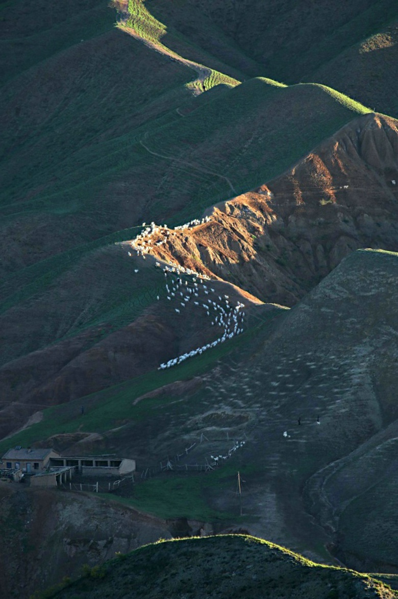 �߲ʹȵ������˼�