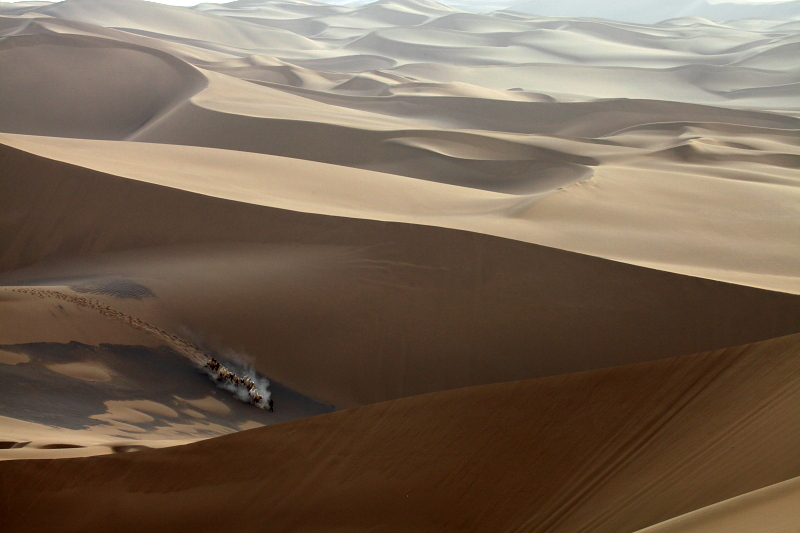 ��ľ����ɳĮ��