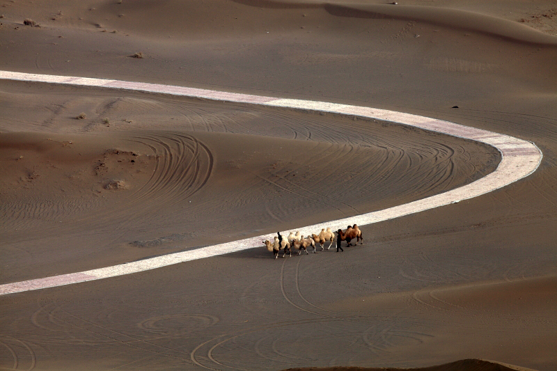 ��ľ����ɳĮ��