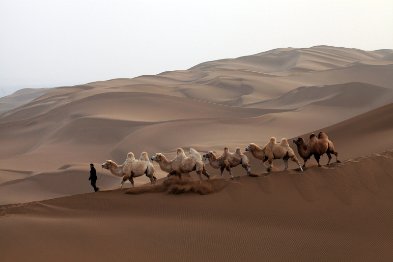 ��ľ����ɳĮ��