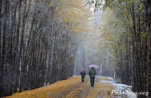 03.�¾�����Ʒ������ѩ��FIRST SNOW.jpg
