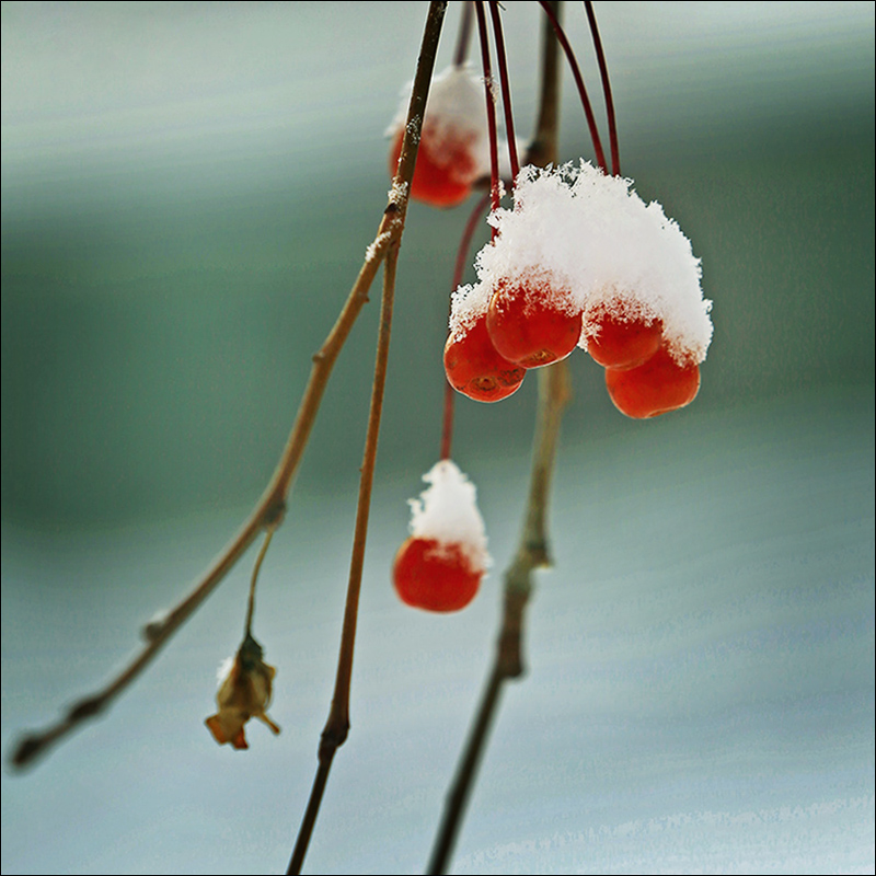 ������Ч��