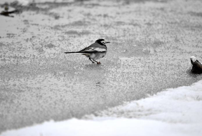 ��Ƭ 159_����.jpg