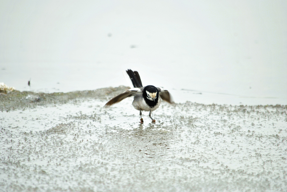 ��Ƭ 131_����.jpg