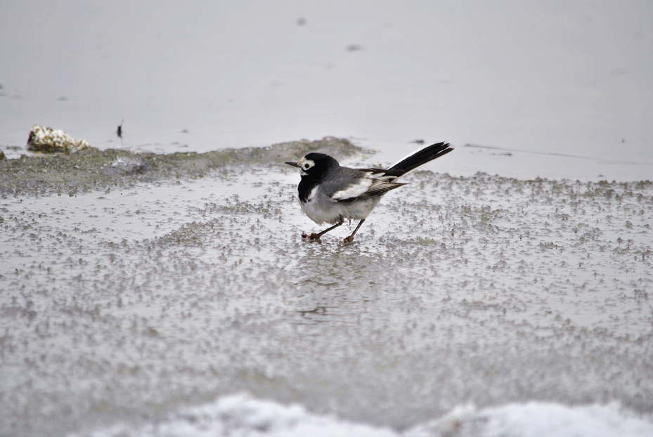 ��Ƭ 132_����.jpg