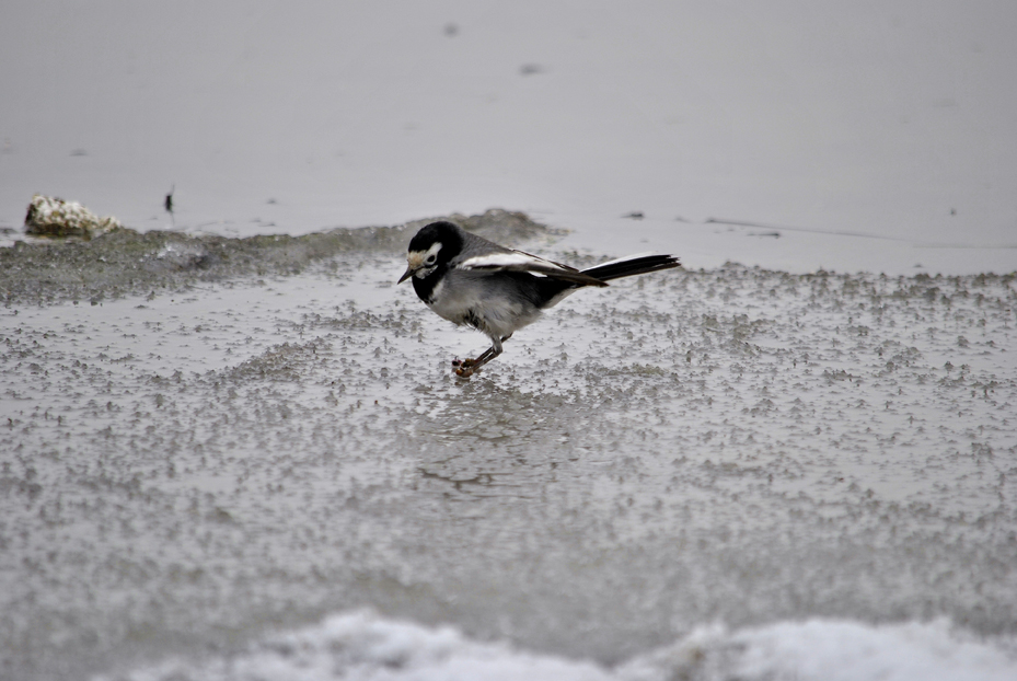 ��Ƭ 133_����.jpg