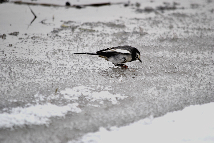 ��Ƭ 156_����.jpg