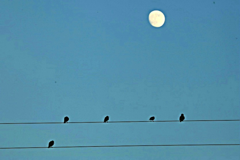 �������£�����������