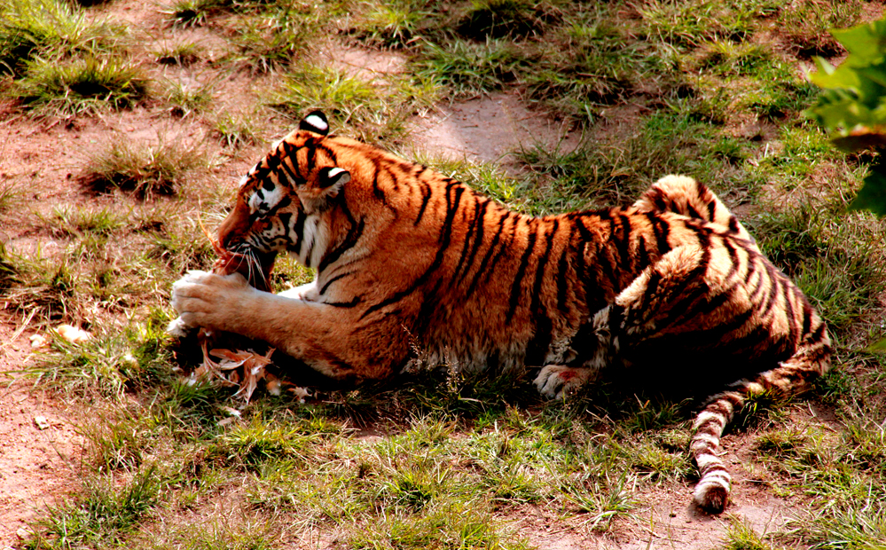 ������θ��� 314.jpg