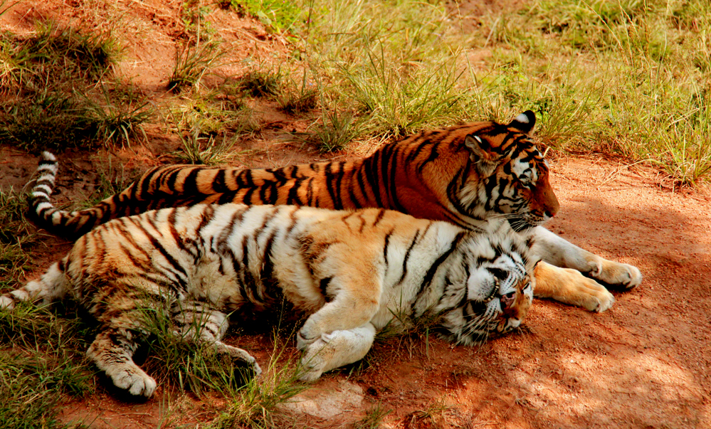 ������θ��� 325.jpg