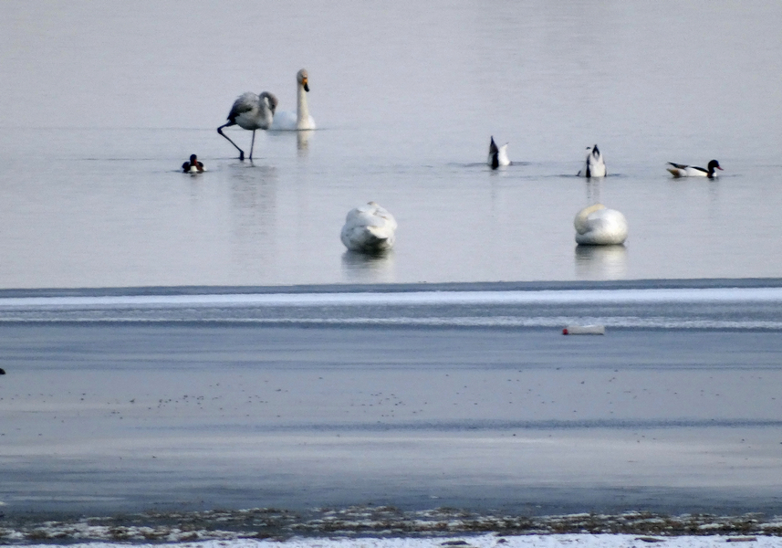 ����ˮ�������¼��� (1).jpg