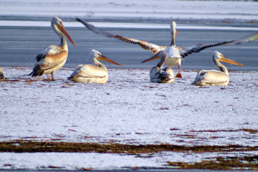 ����ˮ�������¼��� (6).jpg