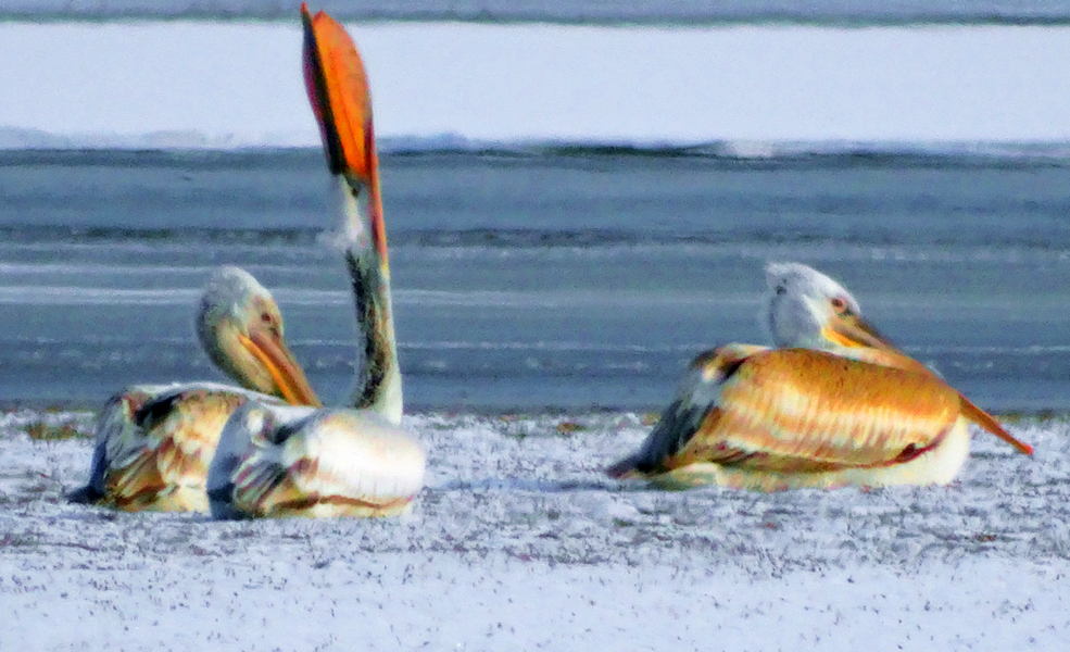 ����Х-����ˮ�������¼��� (3).jpg