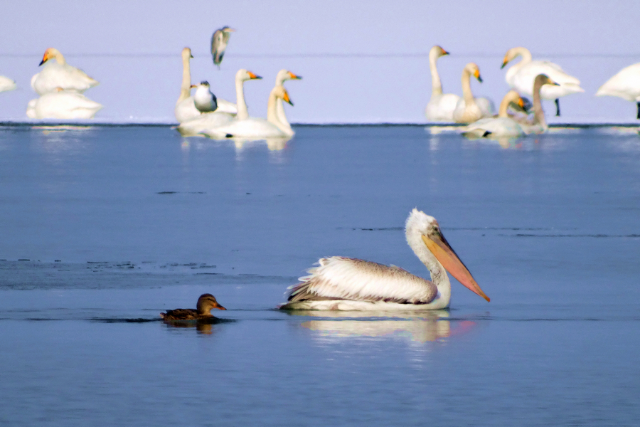 ����-����ˮ�������¼��� (11).jpg