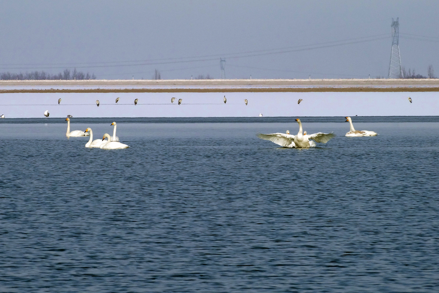 ��ӭ���ǵĵ���-����ˮ�������¼��� (10).jpg