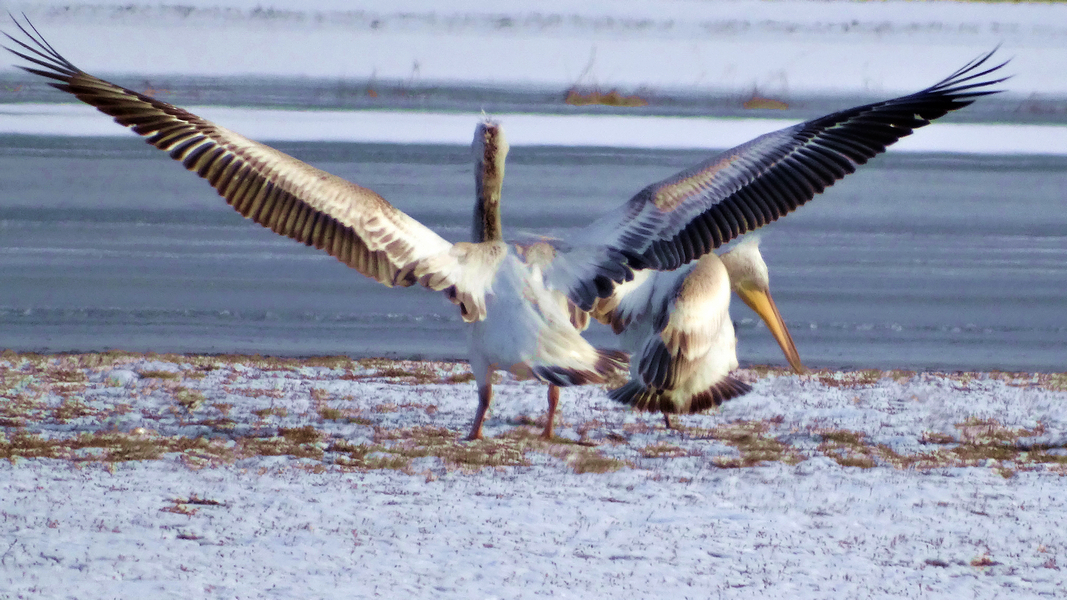 չ������-����ˮ�������¼��� (7).jpg