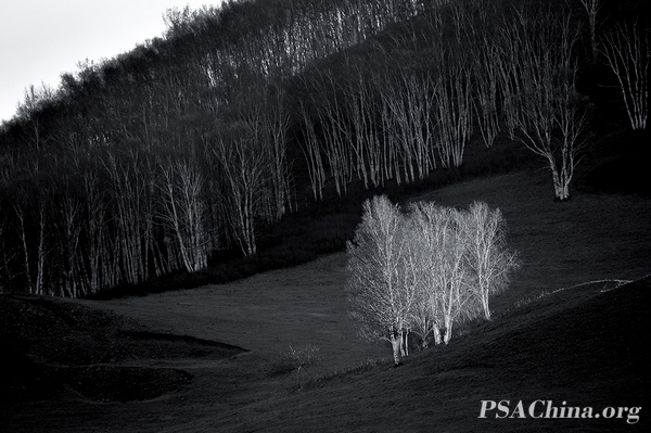 08.������Ʒ������ϳ���С�ϳ���Chorus and small ensemble.jpg