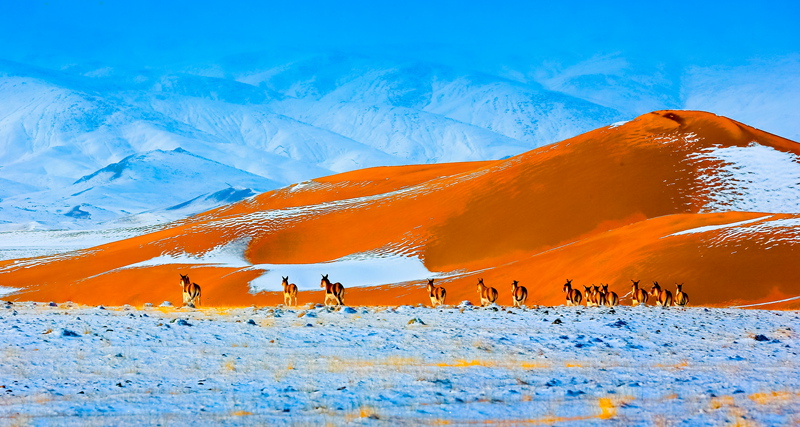 ������ɽ�ľ���