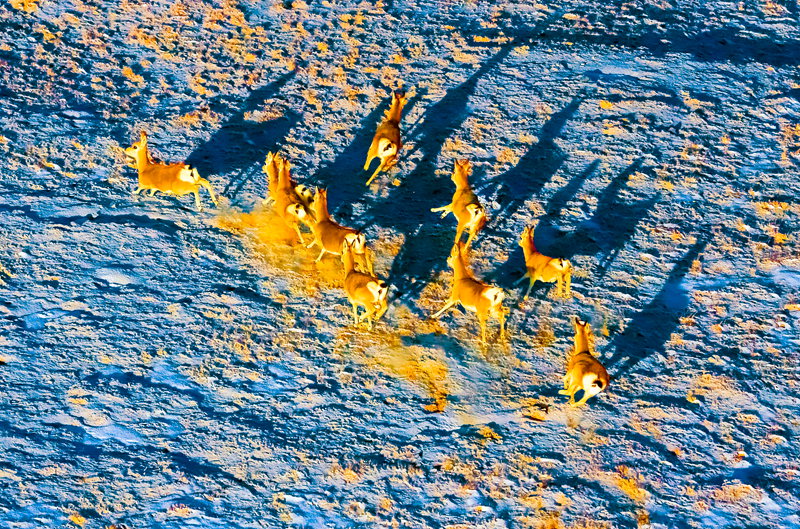 3   �����еĲ����� (2).jpg