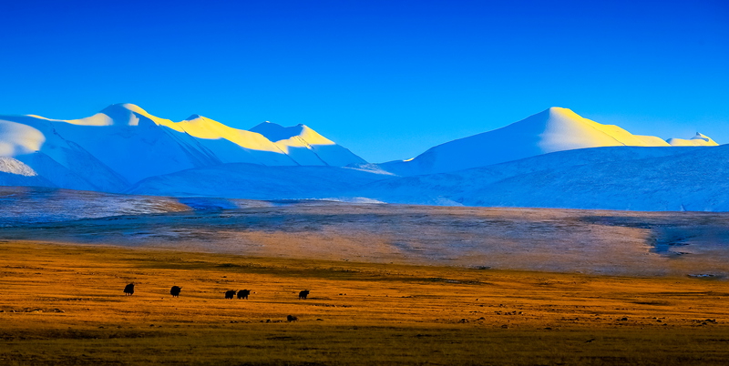 8   ����ԭҰ.jpg