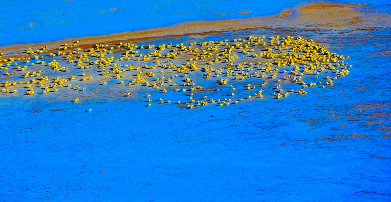 7    ����.jpg