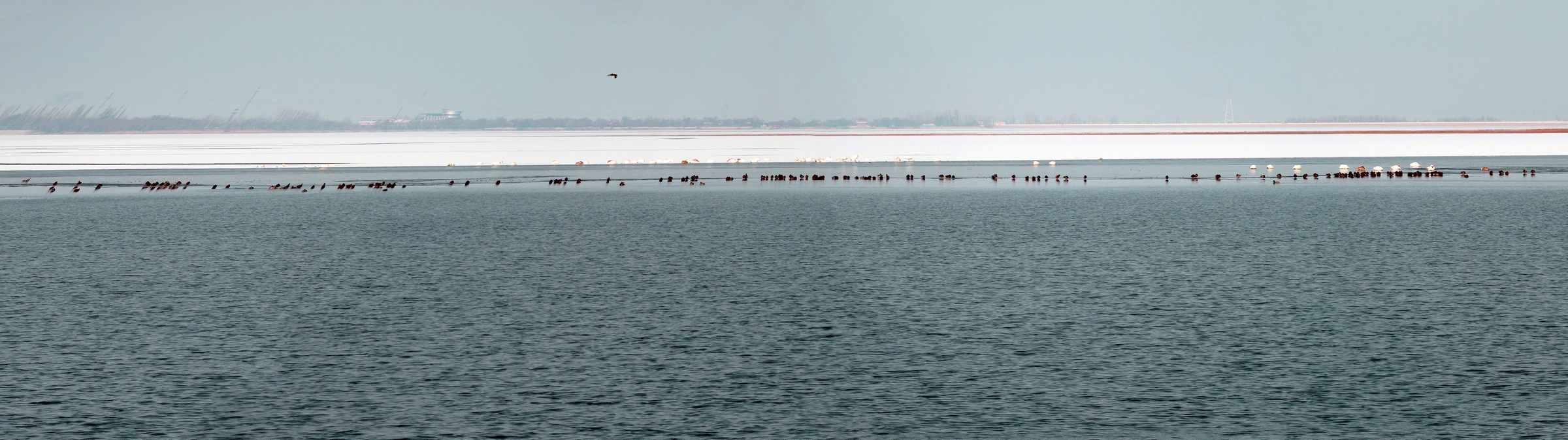 ����ˮ�� (1).jpg