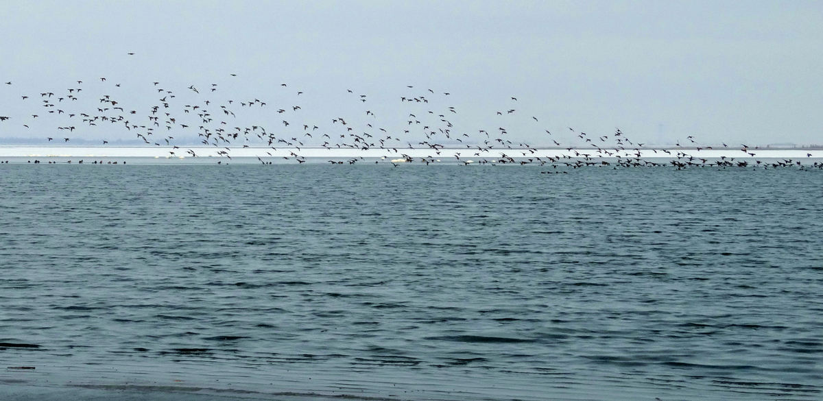 ����ˮ�� (2).JPG