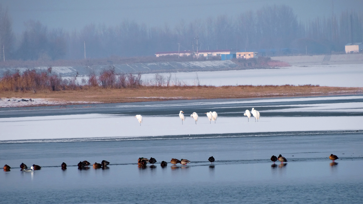 ����ˮ�� (6).JPG