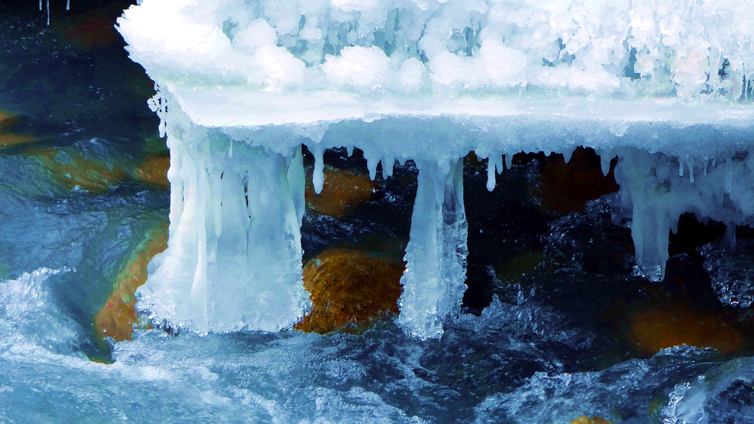 �����ӱ����µ��������� (2).jpg