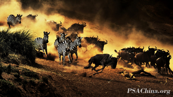 07.��������Ʒ����һ·��ǰ��All the way forward.jpg