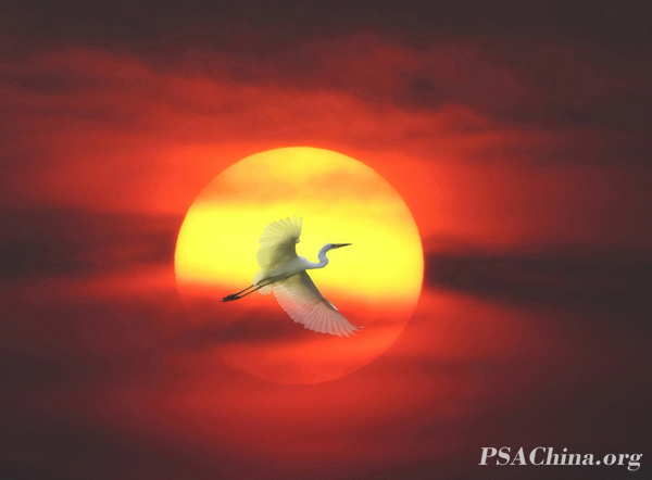 11.Ī־����Ʒ������Խ��pass through.jpg