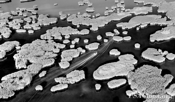 14.��־����Ʒ������˼���ϡ�Acacia Lake.jpg