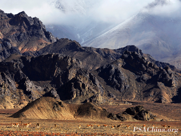 08.��Ծ��Ʒ������ԭ���顷Plateau elves.jpg