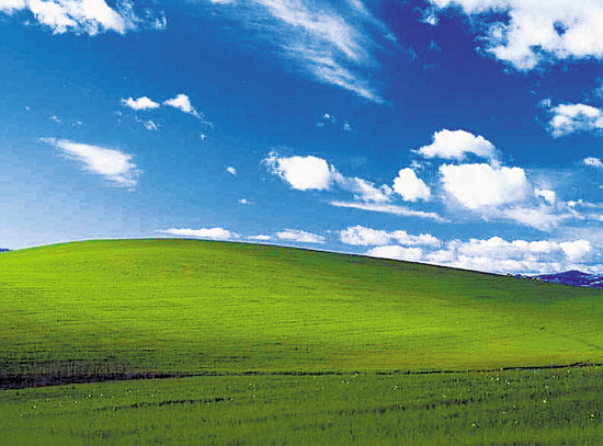 335����Ԫ .jpg