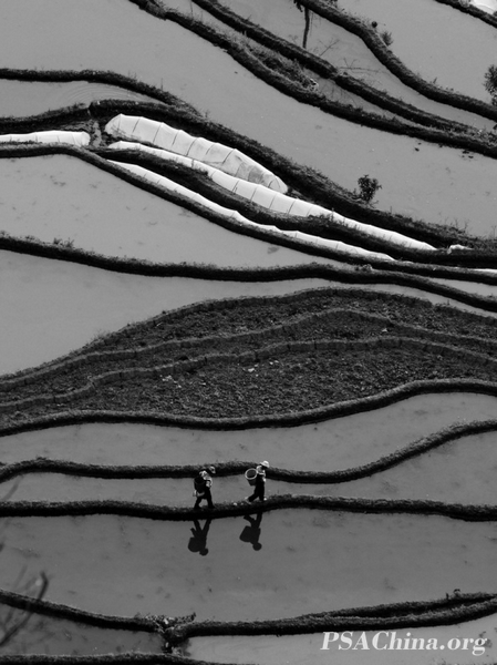 04.��ԾFSS���㽱��Ʒ�������������The earth.jpg