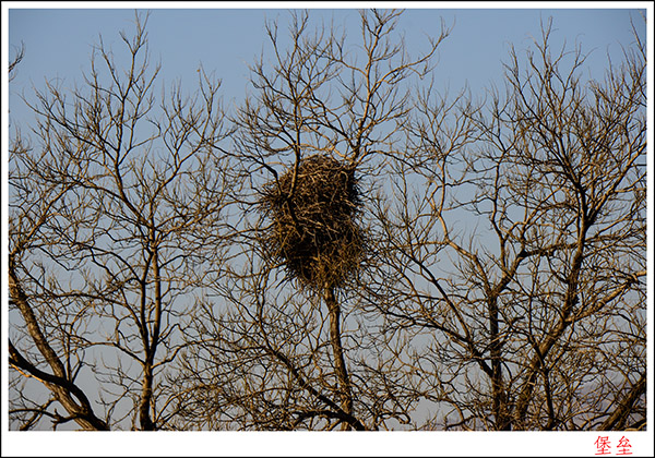 2013��12��7�ձ��ݸ��� 1049.jpg