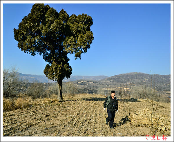 2013��12��7��ʯ��帱�� 11022.jpg