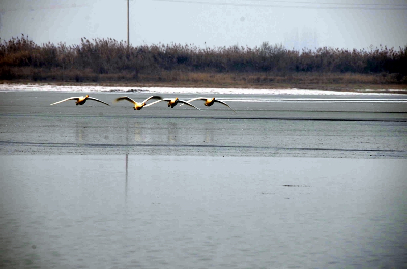 �������4