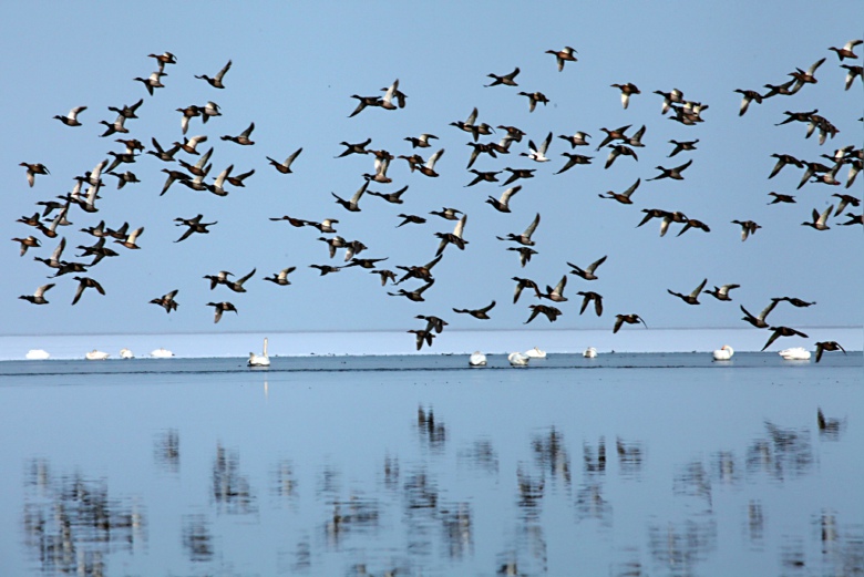 2������ͼ��