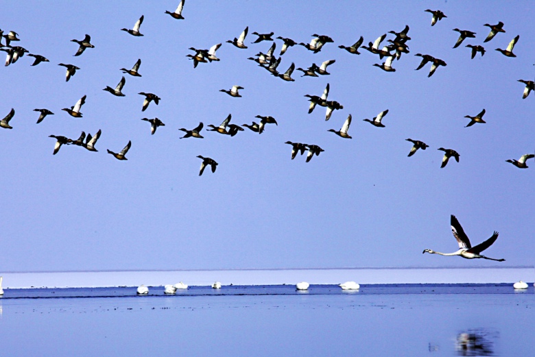 3�������ˡ�