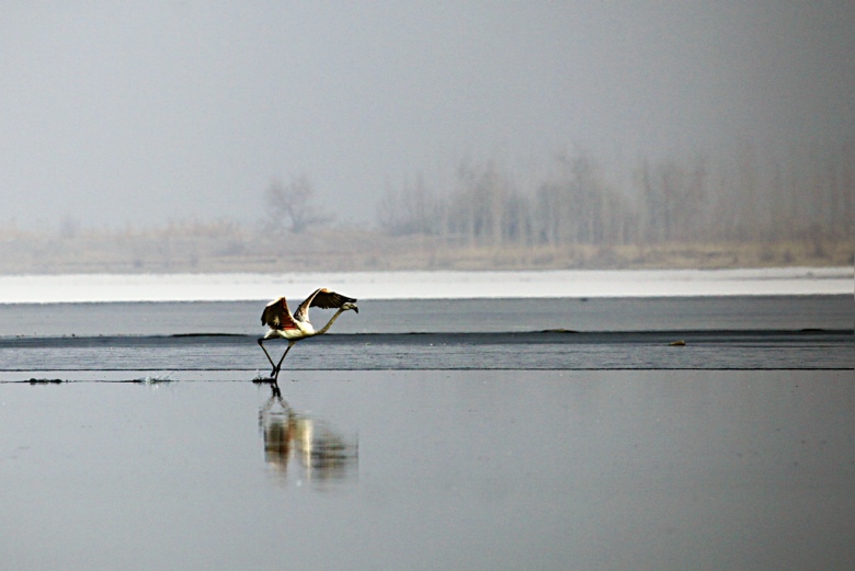 4��Զ�����͡�